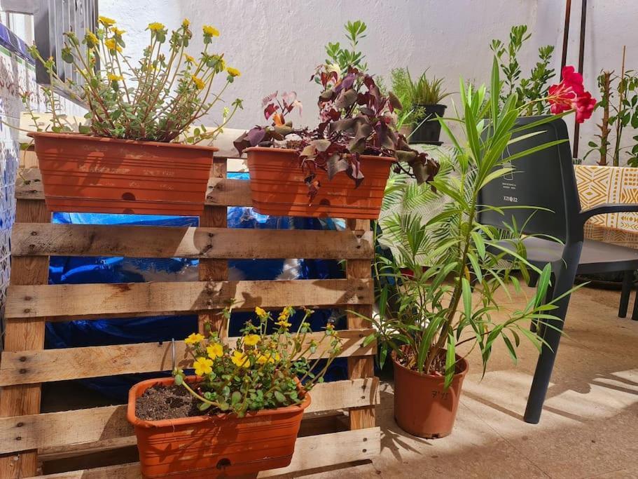Estancia De Ensueno Y Relax Parking Gratuito Гранада Экстерьер фото