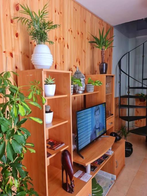 Estancia De Ensueno Y Relax Parking Gratuito Гранада Экстерьер фото