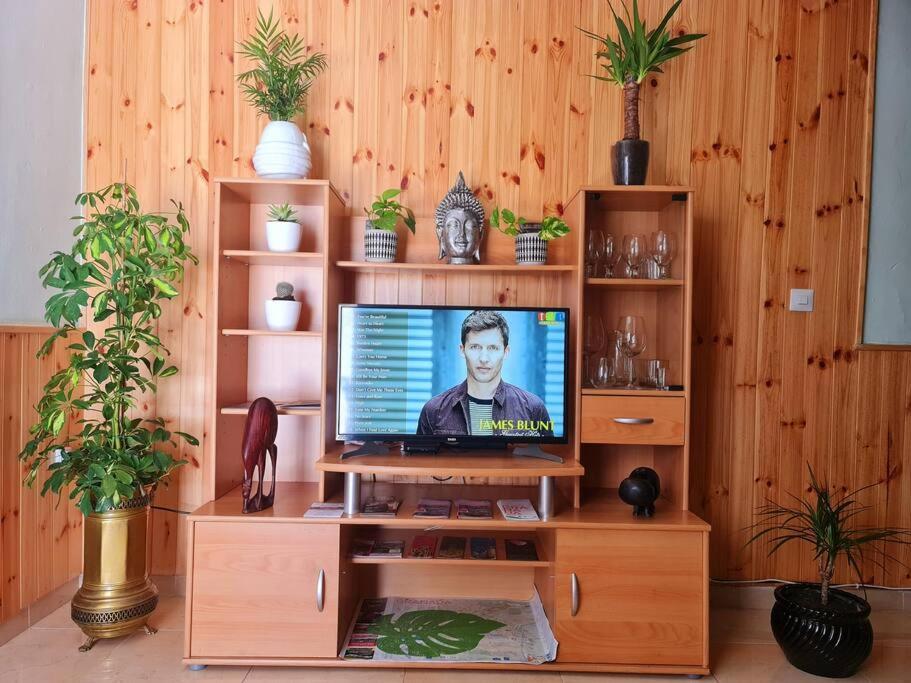 Estancia De Ensueno Y Relax Parking Gratuito Гранада Экстерьер фото